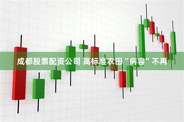 成都股票配资公司 高标准农田“病容”不再
