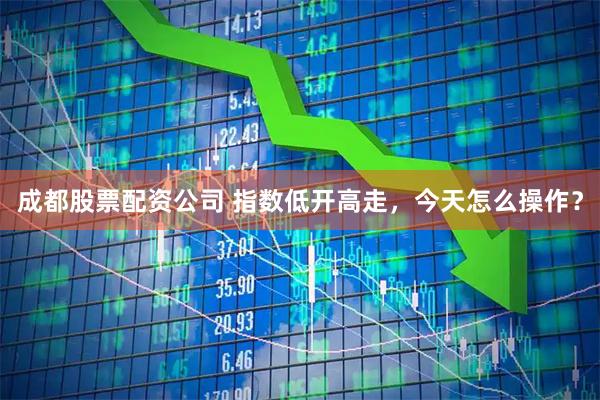 成都股票配资公司 指数低开高走，今天怎么操作？