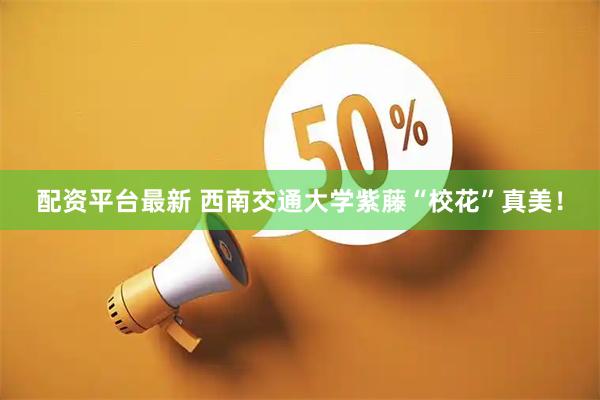 配资平台最新 西南交通大学紫藤“校花”真美！